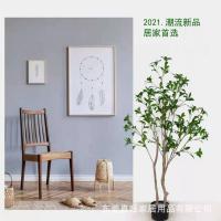 uploads/erp/collection/images/Home Garden/dgjiawang/XU0612681/img_b/XU0612681_img_b_3